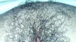 Peluda