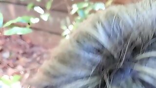 Old Lady Sucks Cock Behind Office