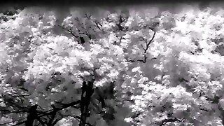 Sexy Jiggly Ass Con Camara Infrared