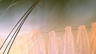 Blonde Celeb Jane Fonda Nude And Hot Striptease Scenes