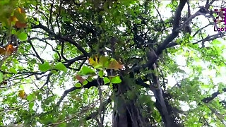Alluring Indian Slut Hot Sex Scene