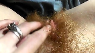 Hairy Redhead