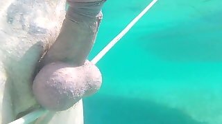 Cock On Vacation