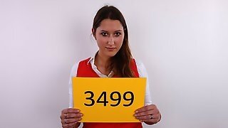 Czech Girl With Perky Tits Gets Pleasantly Fucked At Casting