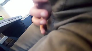 Flash Dick On Train For Granny