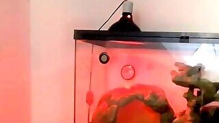 Squirt Part 3 So Much Pussy Juice On My Mirror Omg