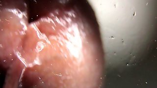 Macro Close Up Cumming On Glass