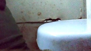 Big Ass Toilet 3