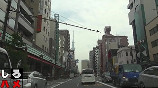 Japanese Spinner Delightful Adult Clip