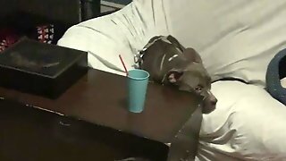 Anal Destruction Of Bailey Wilder