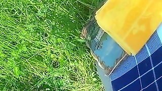 Minet In Nature