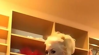 Courtney Stodden Onlyfans