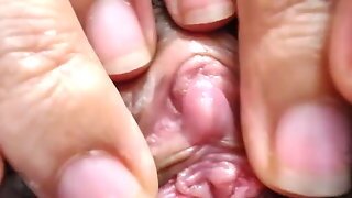 Big Hairy Pussy