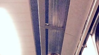 Tamara Upskirt On A Trainride