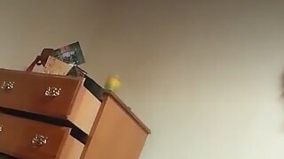 High Guy's Music