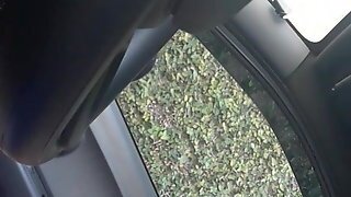 Suck Dick In Car For Money