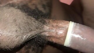 Dick And Pussy