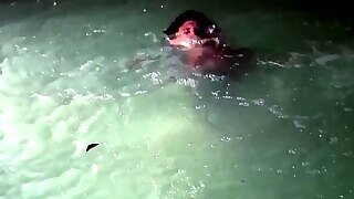Andre Gator 2.6