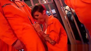 Erotic Babes Blow Penis And Enjoy Poking And Sex Orgy