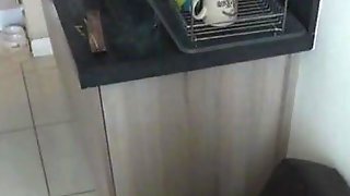 Pantyhose Personal Friend Blowjob