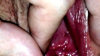 My Wife's Sweet Pussy