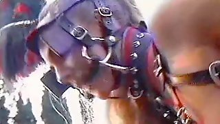 Slut Pulling Mistress' Carriage