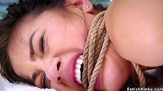 Dude Whips And Assfuck Fucks 18-year-old And Milf