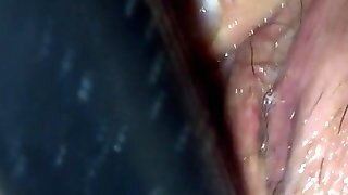 Pussy Play