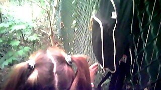 Romanian Hookers In The Woods